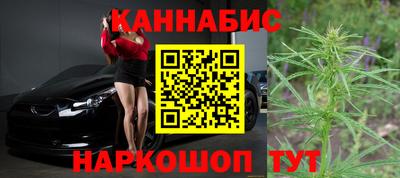 стаф Тверь