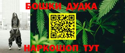 гидра Гусиноозёрск