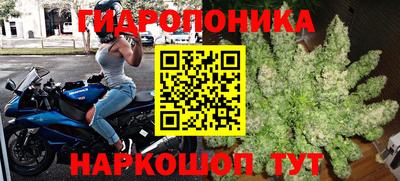 гидра Гусиноозёрск