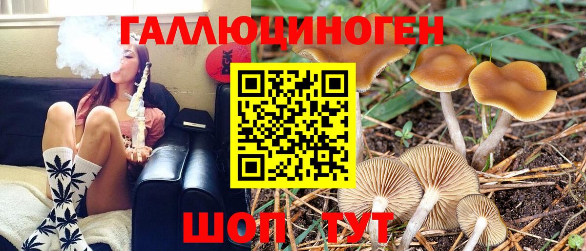 Псилоцибиновые грибы Psilocybe Мирный