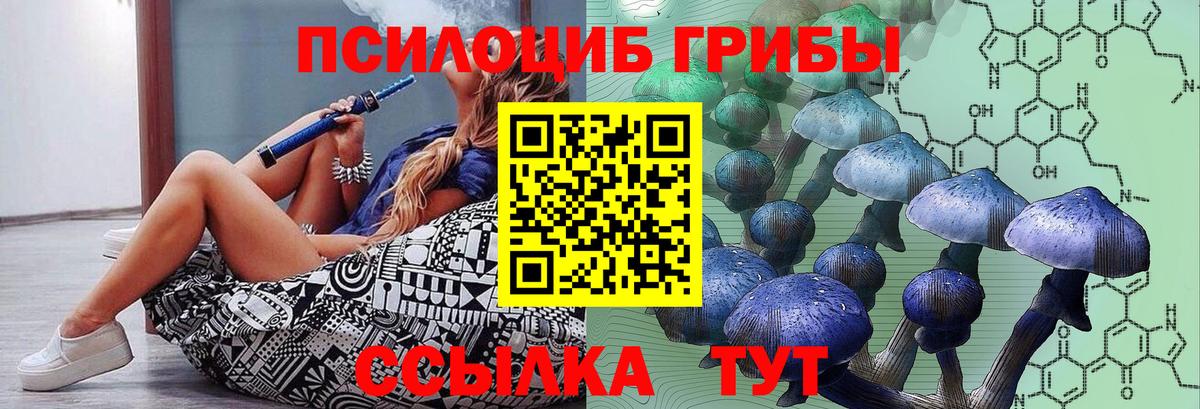Галлюциногенные грибы GOLDEN TEACHER  Вход с VPN  Мирный  Псилоцибиновые грибы Psilocybine cubensis 